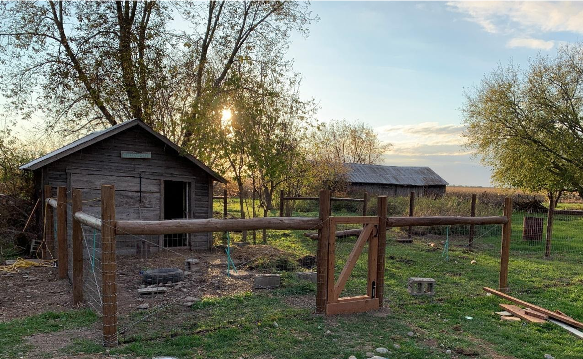 Pig Pen Fence - Nixon Farm