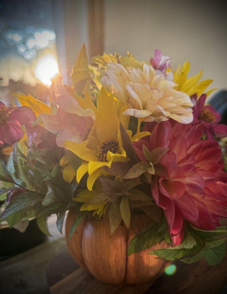 flowers in a pumpkin vase