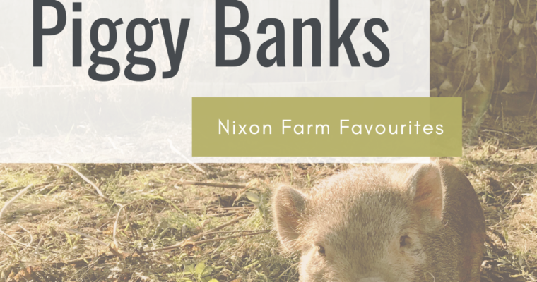 Piggy Banks – Nixon Farm Favourites