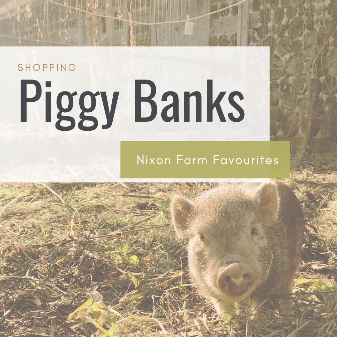 Piggy Banks – Nixon Farm Favourites