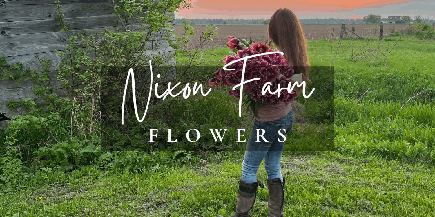 Flower Farm in Ottawa Ontario