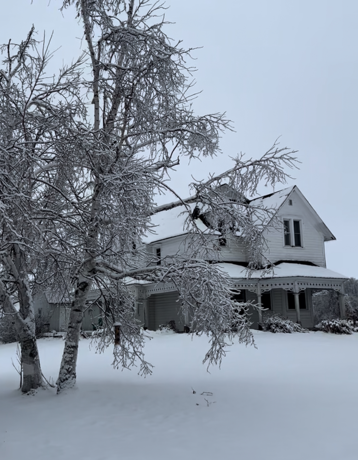 10 Little Ways I’m Making Our Farmhouse Feel Cozy and Garden-Inspired Through Winter.