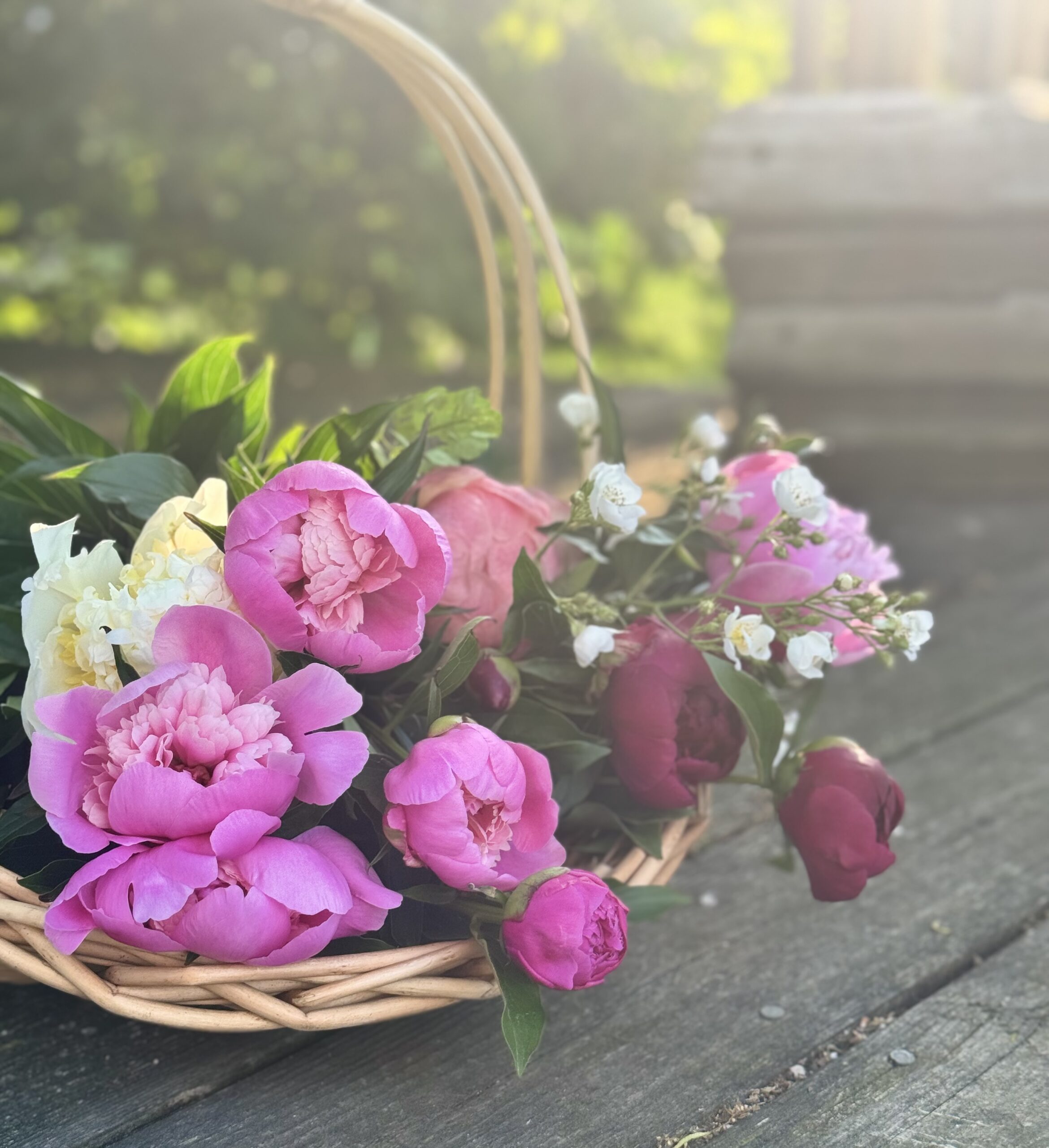 From Seed to Centerpiece: Supporting Local Flowers Year-Round in Ottawa